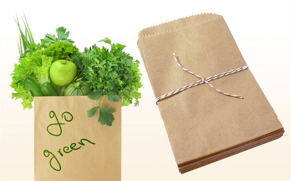 sử dụng túi giấy để bảo vệ môi trường
