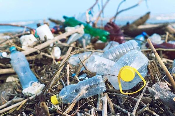 Rác thải nhựa dùng 1 lần tạo “gánh nặng” cho môi trường sống