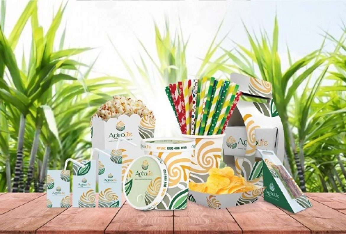 Ly giấy dùng một lần được làm từ gì?