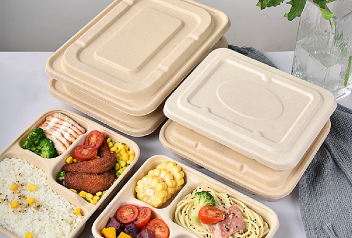 Khả năng chịu nhiệt của hộp bã mía phụ thuộc vào công nghệ sản xuất