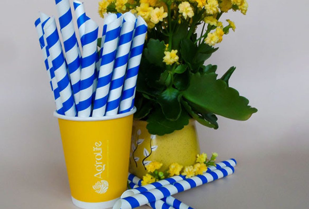 ống hút bã mía giá sỉ