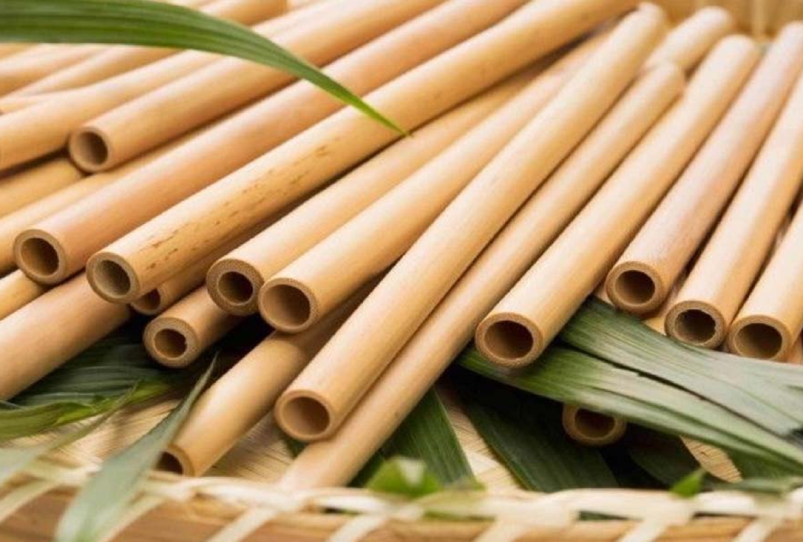 ống hút thân thiện môi trường