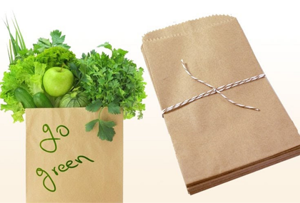sử dụng túi giấy để bảo vệ môi trường